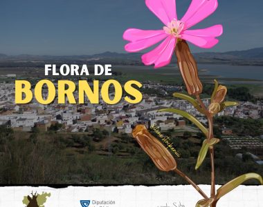 LA FLORA DE BORNOS, NUEVO RETO DE LA SGHN