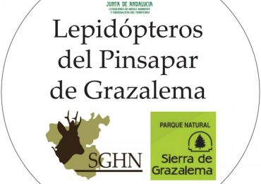 Informe final del proyecto «Lepidópteros Pinsapar Grazalema» de la SGHN