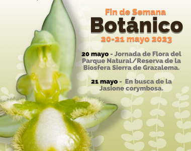 Fin de semana botánico de la SGHN (20-21/05/23)