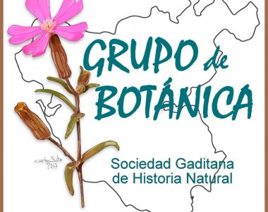 Se crea el Grupo de Botánica de la SGHN