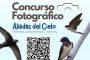 I CONCURSO DE FOTOGRAFÍA DE VENCEJOS, AVIONES Y GOLONDRINAS 2024