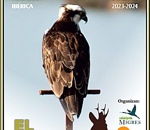 Resultados del 4º censo ibérico del águila pescadora