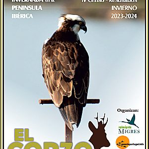 Resultados del 4º censo ibérico del águila pescadora