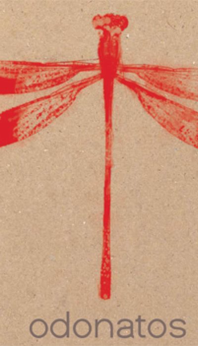 2011_Odonatos_red