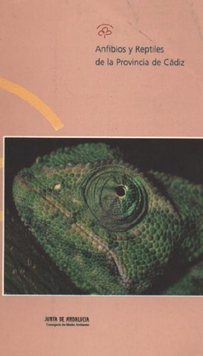 Anfibiosyreptiles