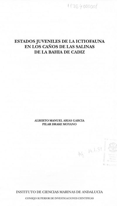 Ver aquí