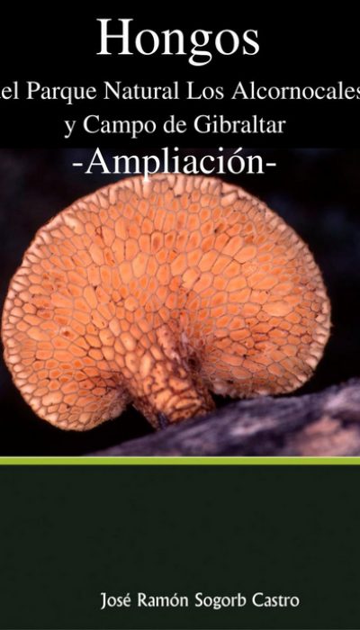 Captura de pantalla completa 20112017 92410.bmp