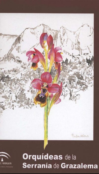 Orquideas_Grazalema_portada