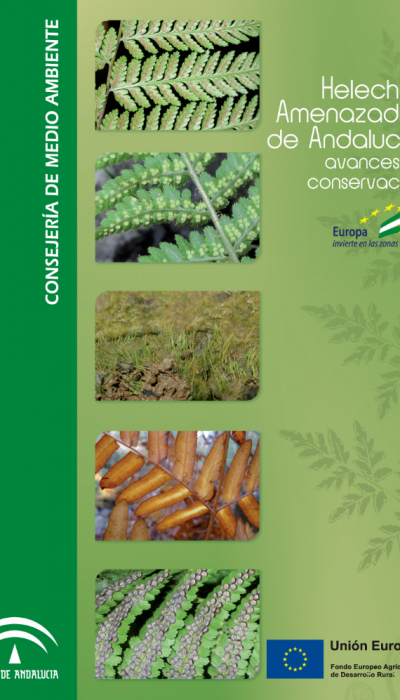 Screenshot_2021-02-12 Helechos amenazados de Andalucía avances en conservación - helechos_amenazados_andalucia_2010 pdf