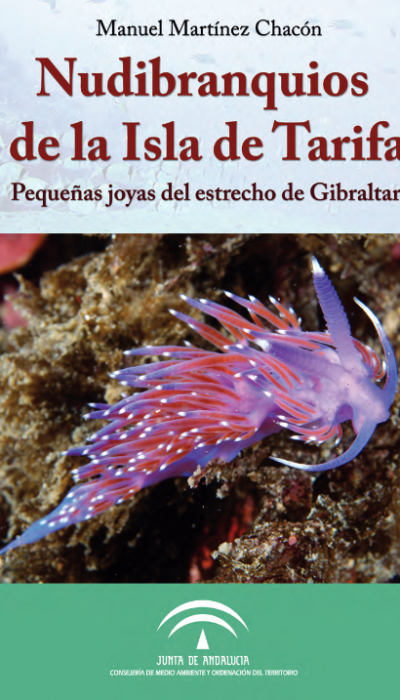 Screenshot_2021-03-15 nudibranquios_tarifa_web pdf