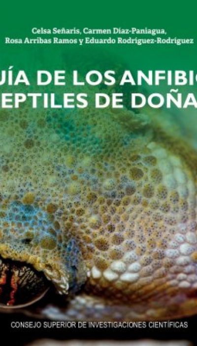 visordocumentocaratula