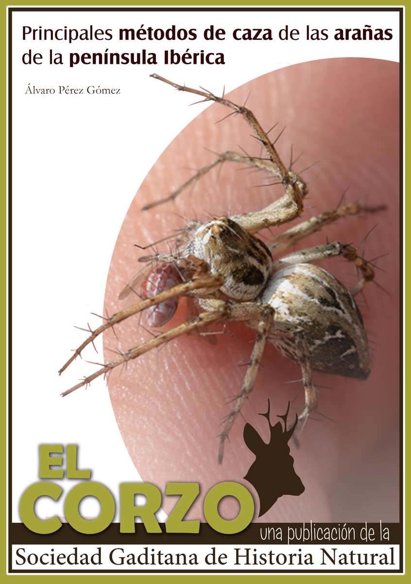 Nuevo artículo sobre los principales métodos de caza de las arañas de la  Península Ibérica - Sociedad Gaditana de Historia Natural